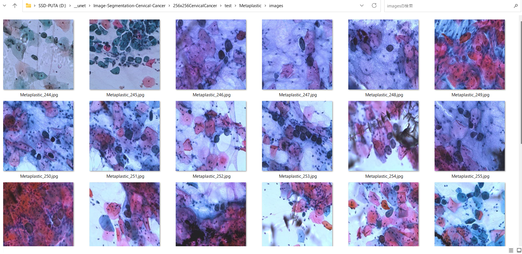 Original mini test microscopy samples