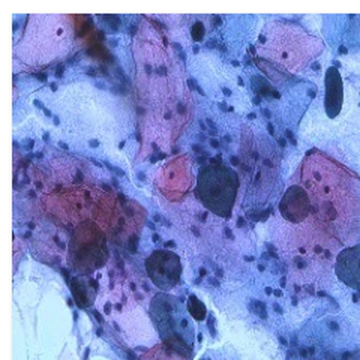 Microscopy cell sample