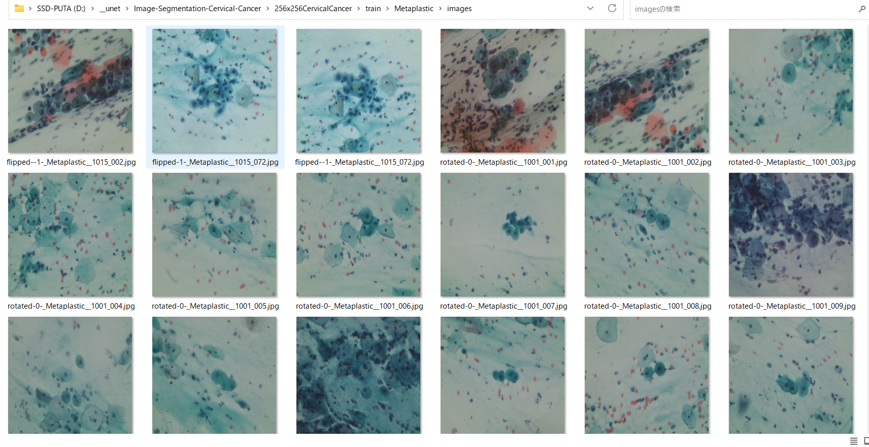 Training microscopy image samples