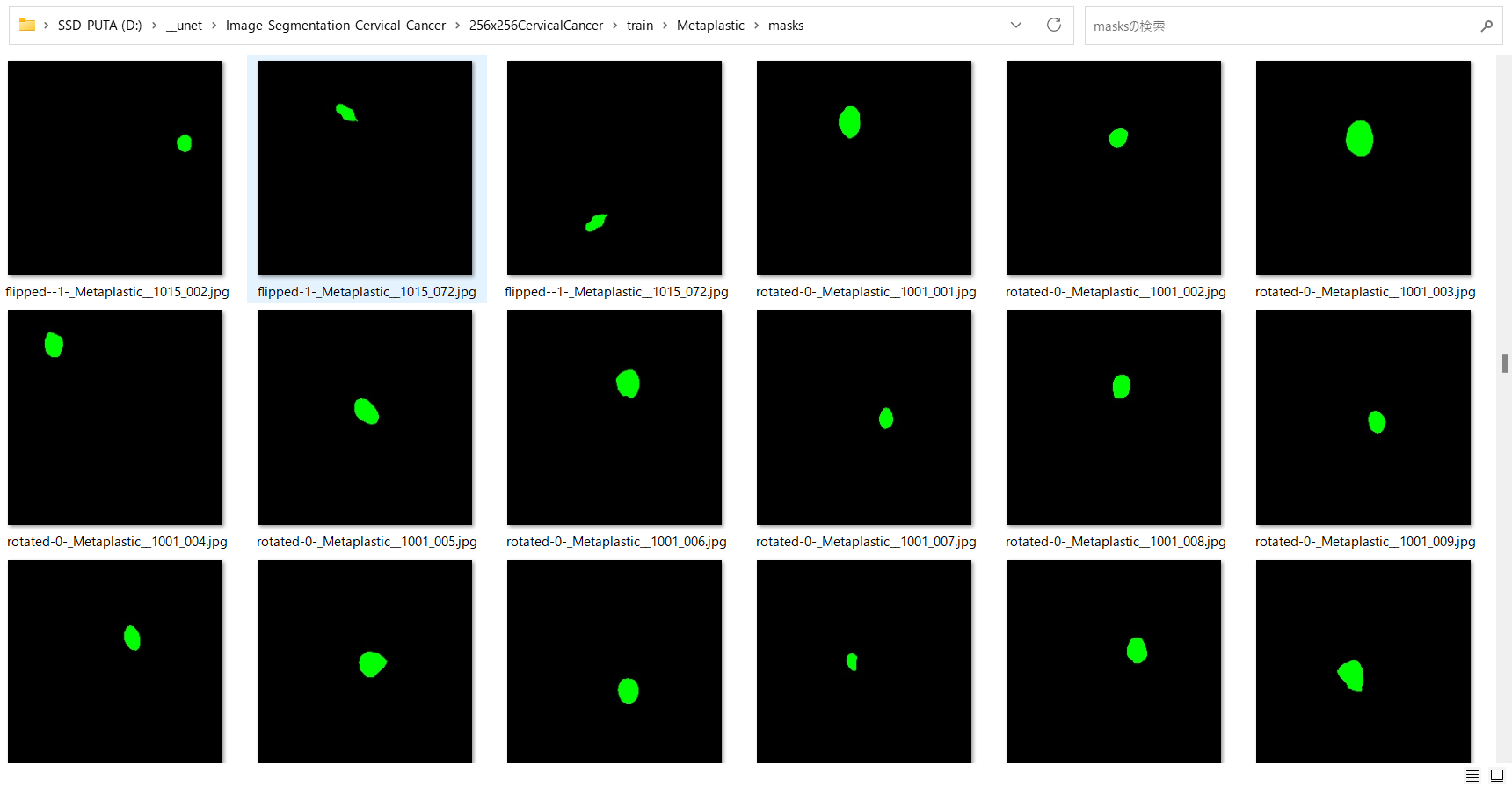 Training segmentation mask samples