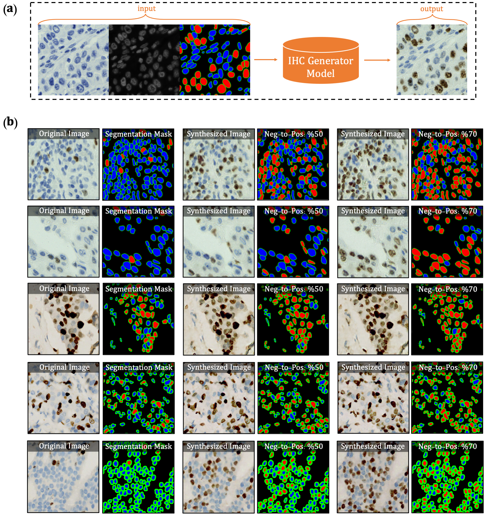 Synthetic IHC generation