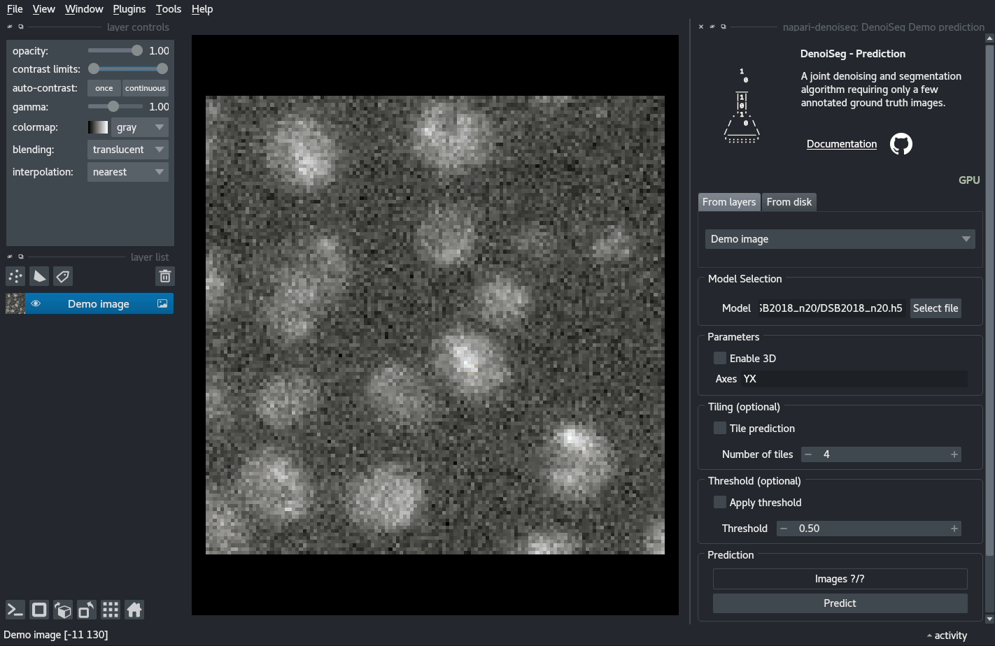 Animated joint denoising and segmentation prediction