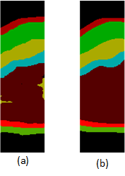 Predicted segmentation and ground truth comparison